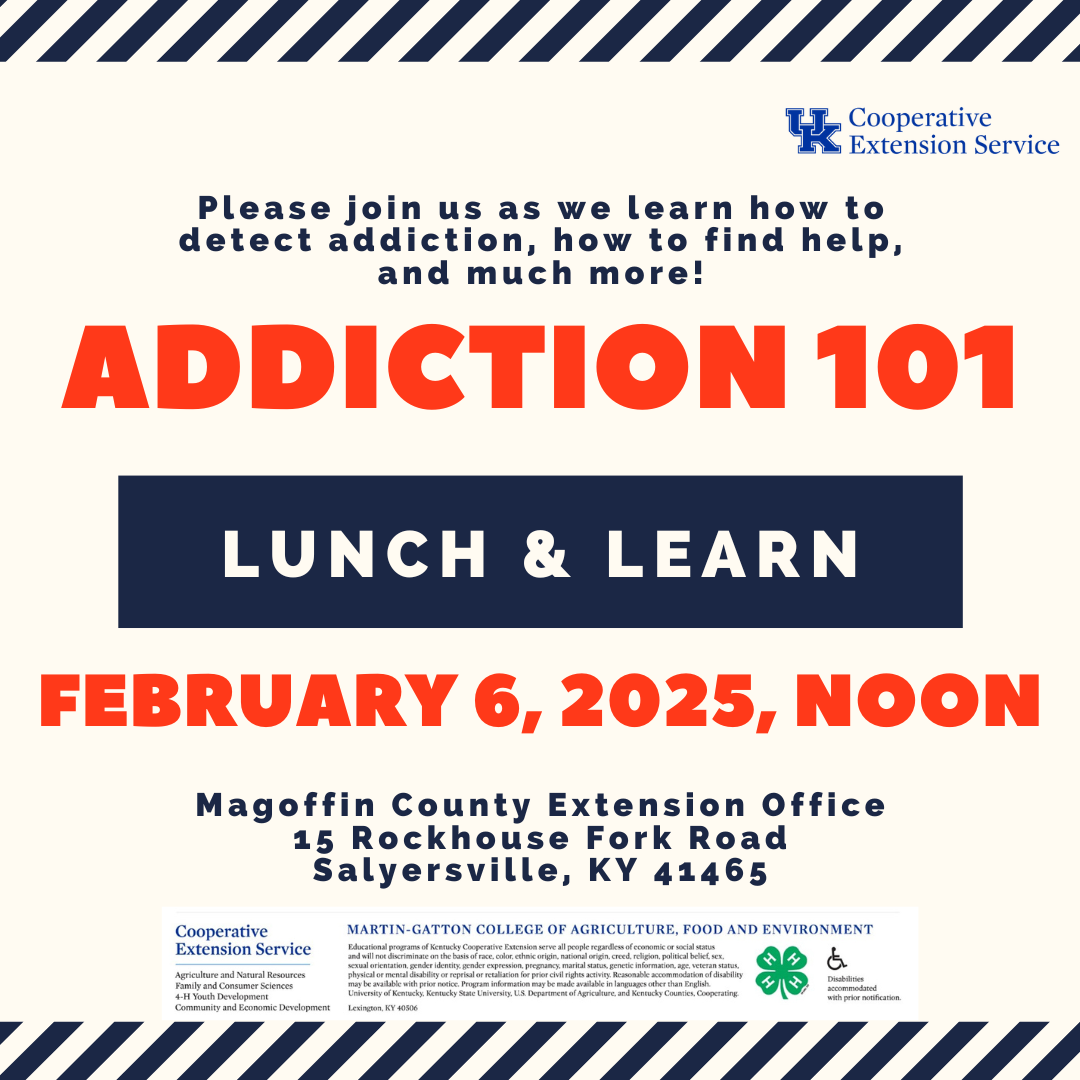 Addition 101 Lunch and Learn Flyer