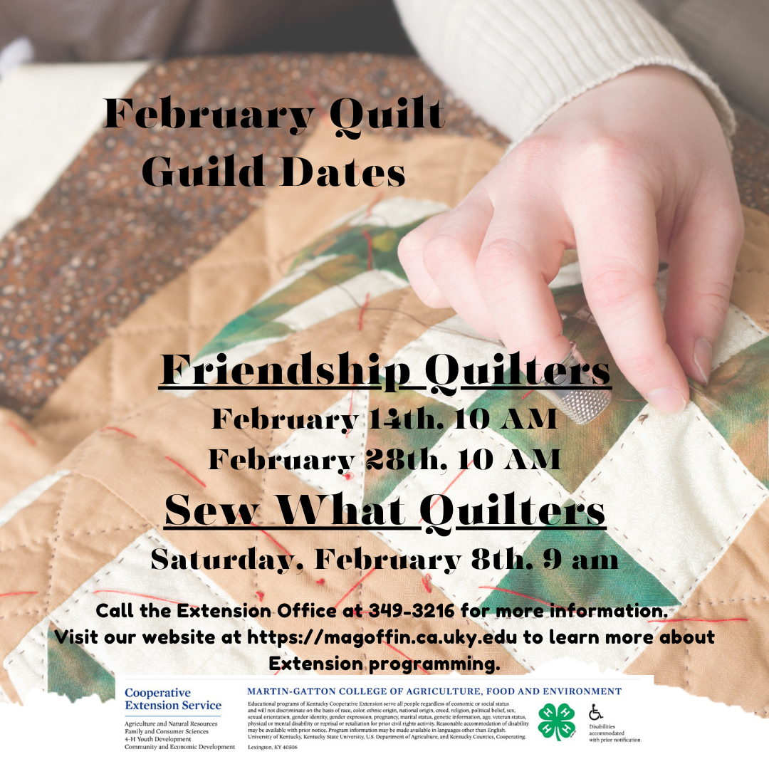 February Quilt Guild Flyer