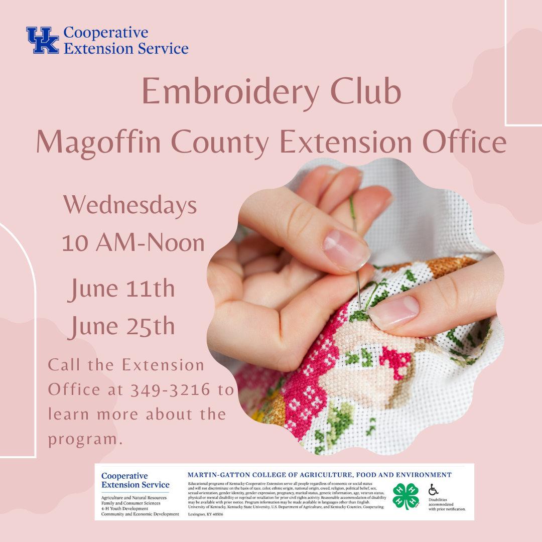 June Embroidery Club Flyer