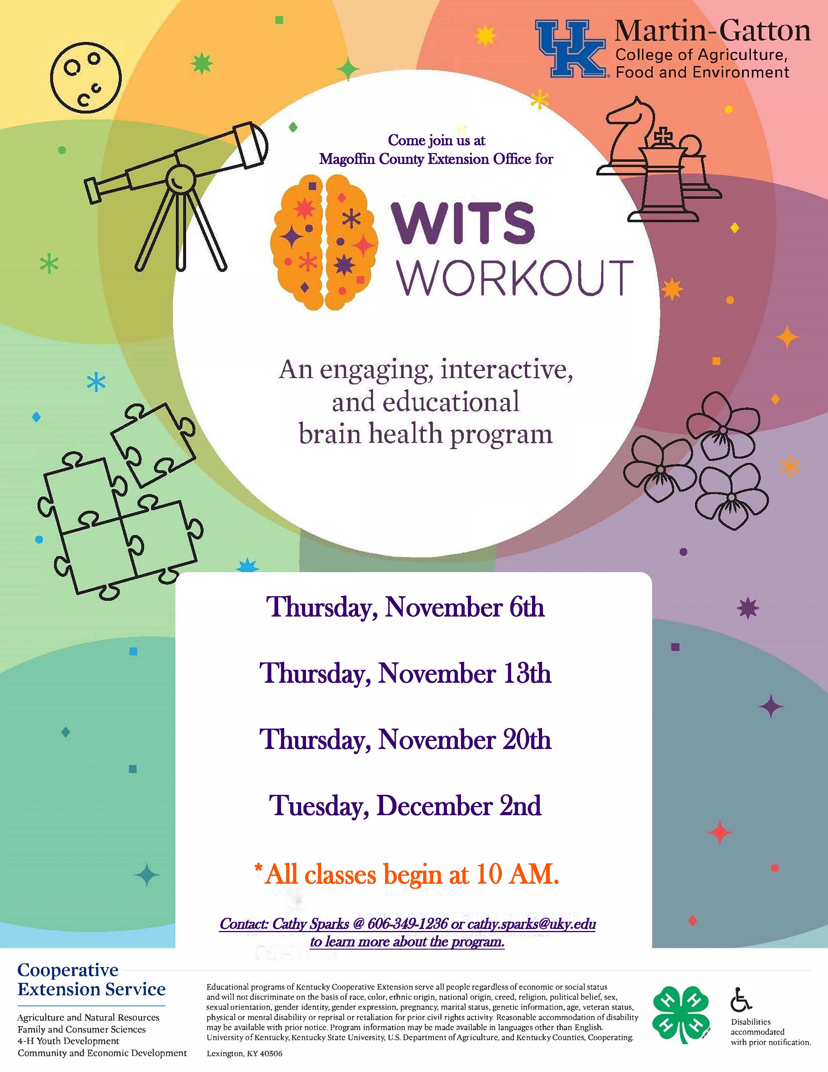 WITS Workout informational flyer