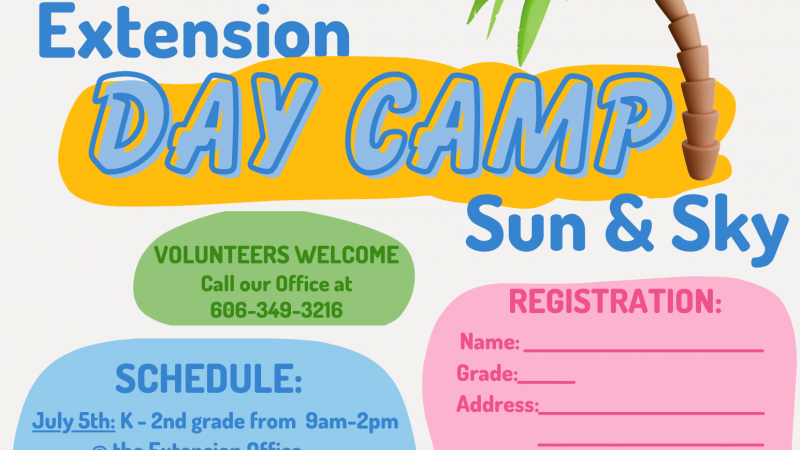 Day Camp Flyer and Registration