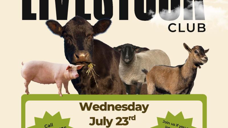 4-H Youth Livestock Club Flyer
