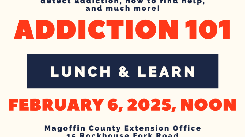 Addition 101 Lunch and Learn Flyer