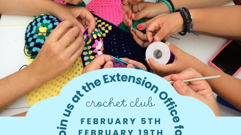 February Crochet Club Flyer