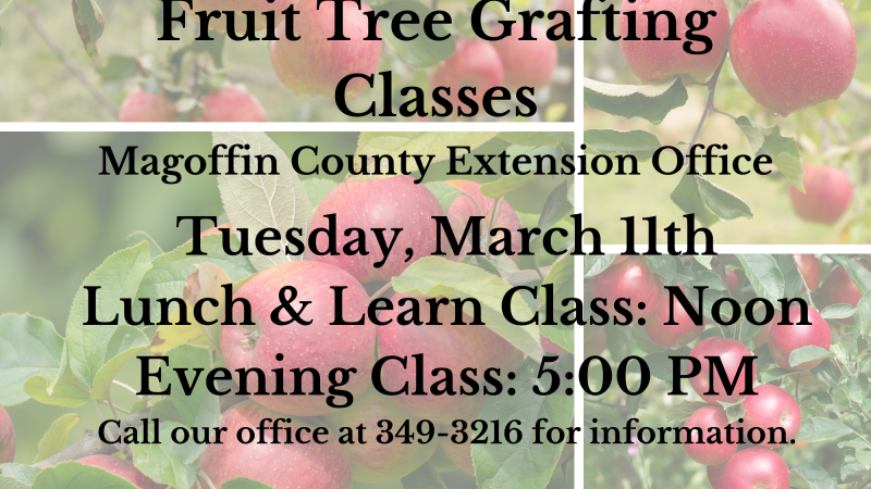 Fruit Tree Grafting Class Flyer