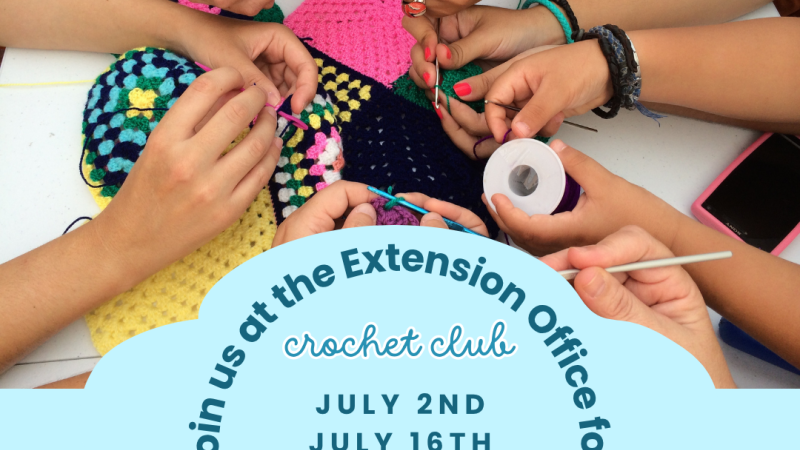 Crochet Club Flyer