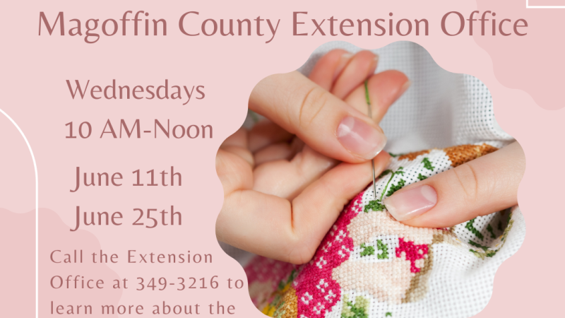 June Embroidery Club Flyer
